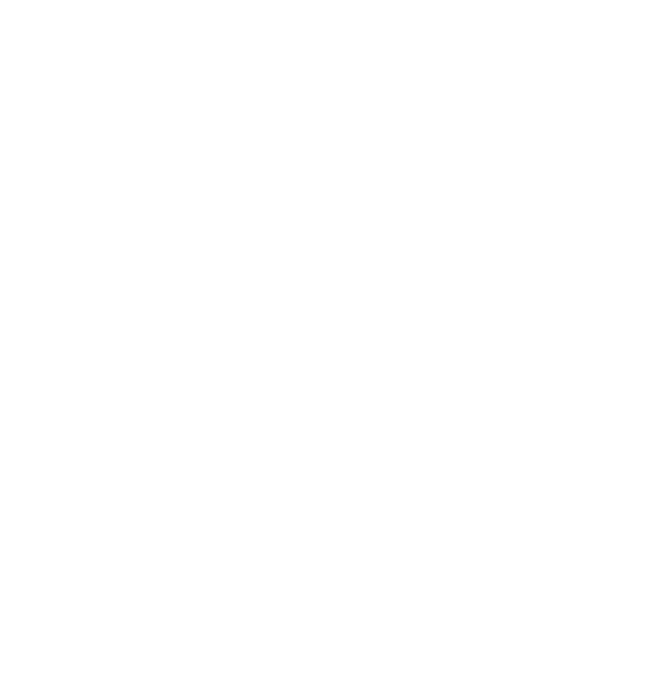Logo DEL GRANDE NINCI Associati